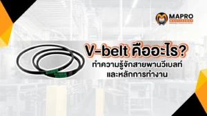 v belt คืออะไร