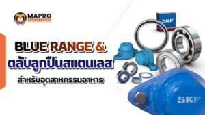 ตลับลูกปืนสแตนเลส และ bluerange