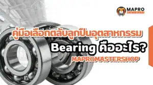 Bearing คืออะไร คู่มือเลือกตลับลูกปืนสำหรับงานอุตสาหกรรม